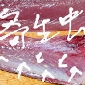 鰹の握り寿司 おろし生姜編 レシピ 作り方 By Yoshi Original 楽天レシピ 鰹の握り寿司 おろし生姜編 レシピ 作り方 By Yoshi Original 楽天レシピ